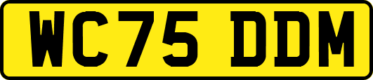 WC75DDM