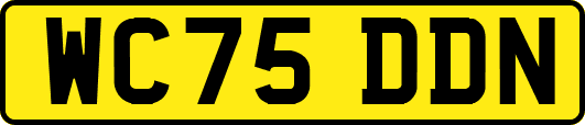 WC75DDN