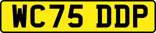 WC75DDP