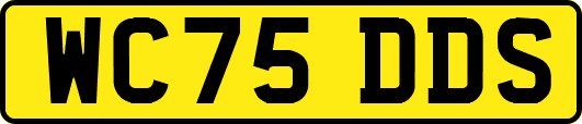 WC75DDS