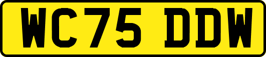 WC75DDW