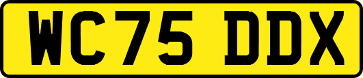 WC75DDX