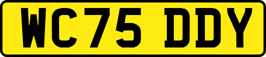 WC75DDY