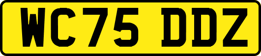 WC75DDZ