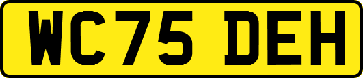 WC75DEH