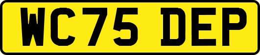 WC75DEP
