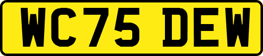 WC75DEW