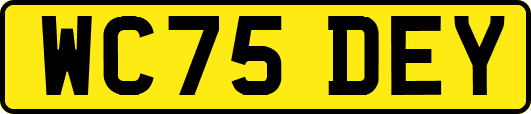 WC75DEY