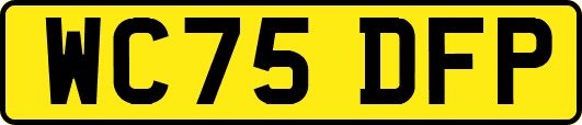 WC75DFP