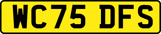 WC75DFS