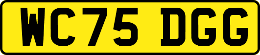 WC75DGG