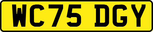 WC75DGY