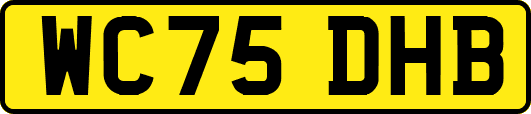 WC75DHB