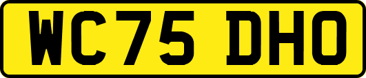 WC75DHO