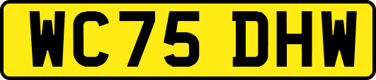 WC75DHW