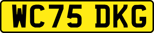 WC75DKG