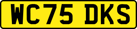 WC75DKS