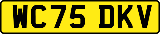 WC75DKV