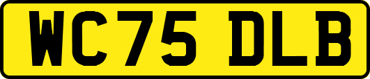 WC75DLB