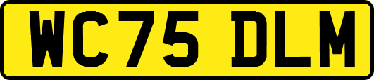 WC75DLM