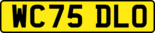 WC75DLO