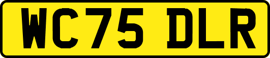 WC75DLR