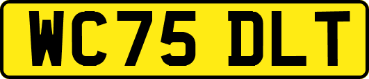 WC75DLT