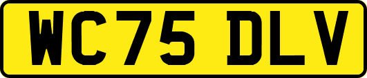WC75DLV