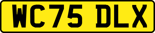 WC75DLX