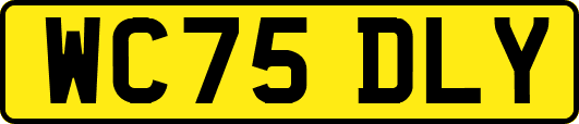 WC75DLY