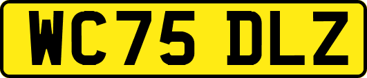 WC75DLZ
