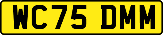 WC75DMM