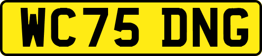 WC75DNG