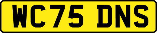 WC75DNS