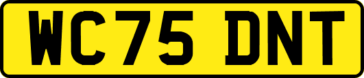 WC75DNT