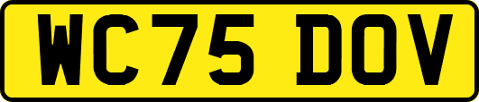 WC75DOV