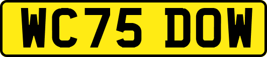 WC75DOW