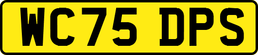 WC75DPS