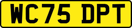 WC75DPT