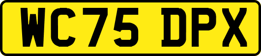 WC75DPX