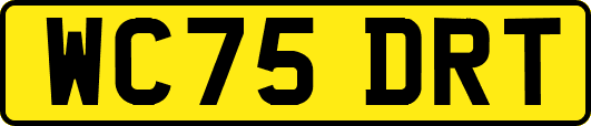WC75DRT