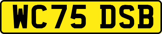 WC75DSB