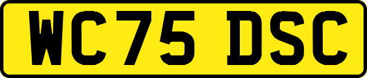 WC75DSC