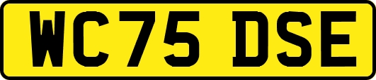 WC75DSE