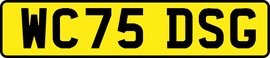 WC75DSG