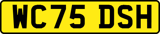 WC75DSH