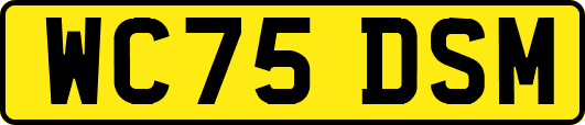 WC75DSM