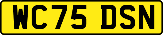 WC75DSN