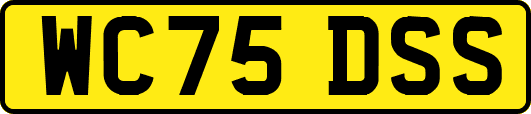 WC75DSS