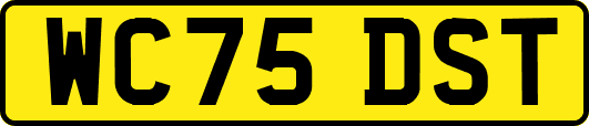 WC75DST